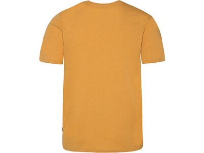 PROTEST Herren Shirt PRTCAARLO t-shirt Orange