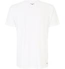 Vorschau: VENICE BEACH Herren Shirt VBM_Hayes DMS 03 T-Shirt