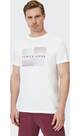 Vorschau: VENICE BEACH Herren Shirt VBM_Hayes DMS 03 T-Shirt