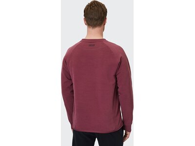 VENICE BEACH Herren Sweatshirt VBM_Callen 4021 BB Sweatshirt Rot 