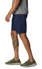 Vorschau: COLUMBIA Herren Shorts Washed Out™ Printed Short