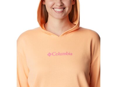 COLUMBIA Columbia Logo III French Terry Hoodie Orange