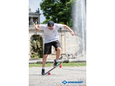 SCHILDKRÖT Skateboard Skateboard KICKER 31´ Phantom Bunt