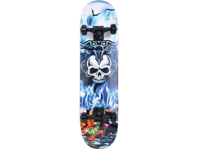 SCHILDKRÖT Skateboard Skateboard GRINDER 31´ Inferno Bunt