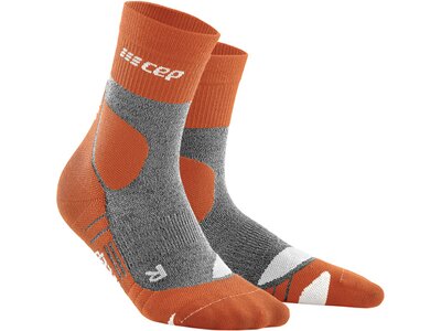 CEP Herren Hiking Merino Mid Cut Socks Braun