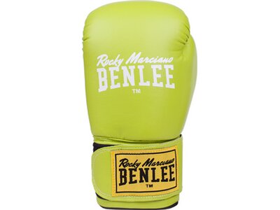BENLEE Boxhandschuh aus Kunstleder RODNEY Grün