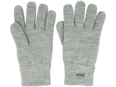 EISGLUT Herren Handschuhe Remig Glove Fleece Silber