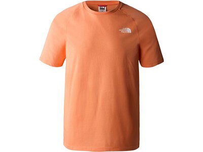 THE NORTH FACE Herren Shirt M S/S NORTH FACES TEE Braun