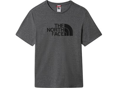 THENORTHFACE Herren T-Shirt "Easy" Grau