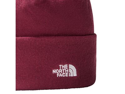 THE NORTH FACE Herren TNF_AC_U Headwear Lifestyle Knit Hat Lila