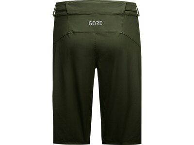 GORE® C5 Shorts Grün