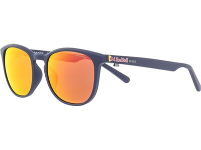 Red Bull SPECT Eyewear Sonnenbrille STEADY Braun