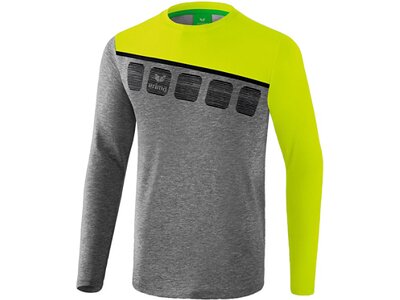 ERIMA Fußball - Teamsport Textil - Sweatshirts 5-C Longsleeve Kids Grau