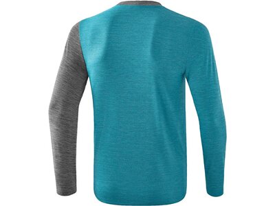ERIMA Fußball - Teamsport Textil - Sweatshirts 5-C Longsleeve Kids Blau
