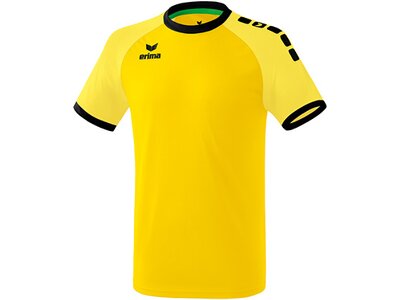 ERIMA Fußball - Teamsport Textil - Trikots Zenari 3.0 Trikot Kids Gelb