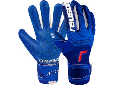 REUSCH Herren Handschuhe Attrakt Freegel Fusion Blau