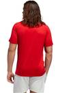 Vorschau: ADIDAS Herren T-Shirt "Freelift 3-Streifen"