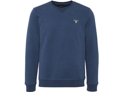 CHIEMSEE Sweatshirt im coolen Retro Design Blau