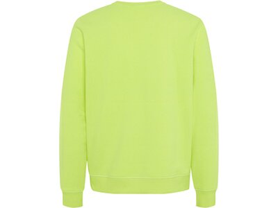 CHIEMSEE Sweatshirt Unisex mit großem Rückenprint - GOTS zertifiziert Grün