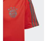 Vorschau: ADIDAS Replicas - T-Shirts - National FC Bayern München T-Shirt Kids