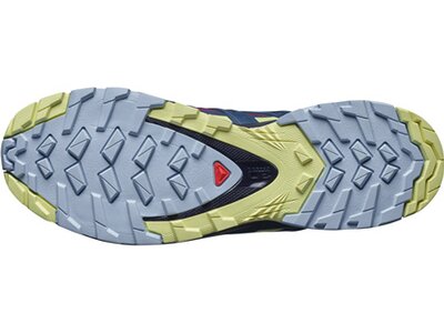 SALOMON Damen Trailrunning-Schuhe "XA PRO 3D V8 GORE-TEX" Grau