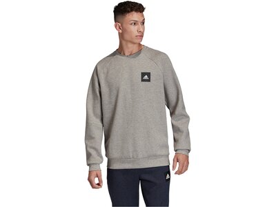 ADIDAS Lifestyle - Textilien - Sweatshirts Crew Sweatshirt Grau