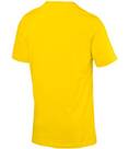 Vorschau: PUMA Replicas - T-Shirts - National BVB Dortmund Fan Tee T-Shirt