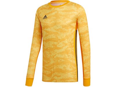 ADIDAS Fußball - Teamsport Textil - Torwarttrikots AdiPro 19 Torwarttrikot langarm Gold