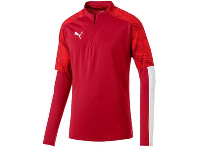 PUMA Fußball - Teamsport Textil - Sweatshirts CUP Training 1/4 Zip Top Rot