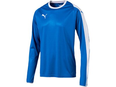 PUMA Fußball - Teamsport Textil - Trikots LIGA Trikot langarm Blau