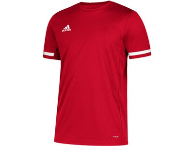 ADIDAS Fußball - Teamsport Textil - Trikots Team 19 Trikot kurzarm Damen Rot
