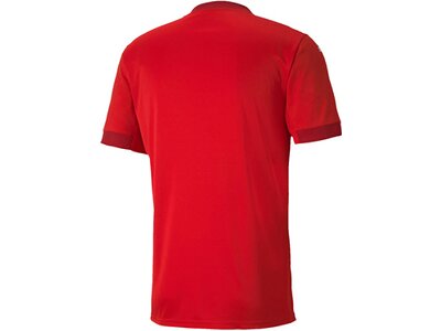 PUMA Fußball - Teamsport Textil - Trikots teamFINAL 21 Trikot kurzarm Rot
