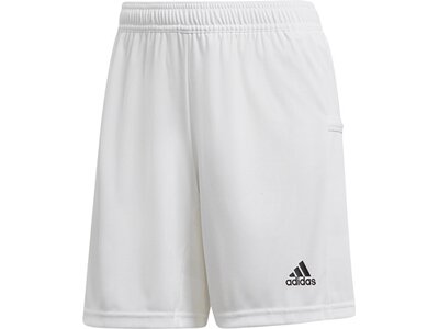 ADIDAS Fußball - Teamsport Textil - Shorts Team 19 Knitted Short Damen Grau
