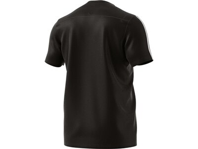 ADIDAS Herren T-Shirt Tiro 19 Schwarz