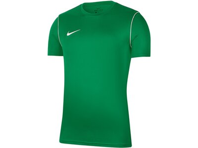 NIKE Fußball - Teamsport Textil - T-Shirts Park 20 Training Shirt Grün