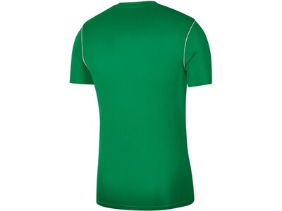 NIKE Fußball - Teamsport Textil - T-Shirts Park 20 Training Shirt Grün