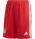 Vorschau: ADIDAS Replicas - Shorts - National FC Bayern München Short Home 2020/2021