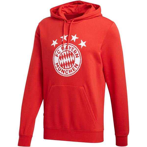 ADIDAS Replicas - Sweatshirts - National FC Bayern München DNA Graphic Hoody