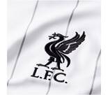 Vorschau: NIKE Liverpool FC Fußballtrikot "2020/2021 Stadium"