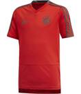 Vorschau: ADIDAS Replicas - T-Shirts - National FC Bayern München T-Shirt Kids