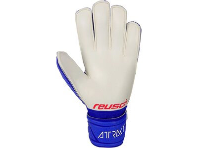 REUSCH Equipment - Torwarthandschuhe Attrakt Finger Support TW-Handschuh Blau