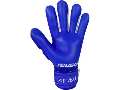 REUSCH Equipment - Torwarthandschuhe Attrakt Freegel TW-Handschuh Blau