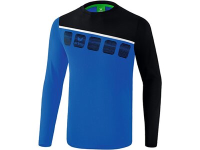 ERIMA Fußball - Teamsport Textil - Sweatshirts 5-C Longsleeve Kids Blau