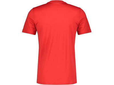 ICEBREAKER Herren T-Shirt "Tech Lite SS Crewe Peak Patter" Braun