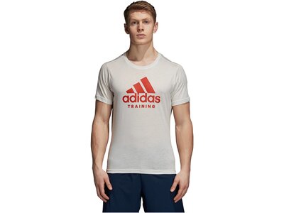 ADIDAS Herren Trainingsshirt Freelift Logo Grau