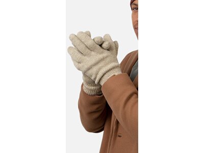 BARTS Herren Handschuhe / Fingerhandschuhe Haakon Gloves Braun