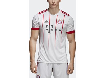ADIDAS Herren FC Bayern München UCL Trikot Grau