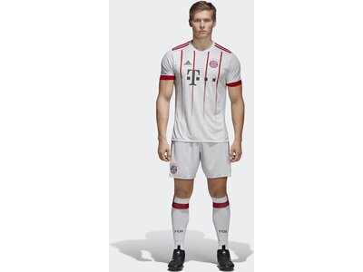 ADIDAS Herren FC Bayern München UCL Trikot Grau